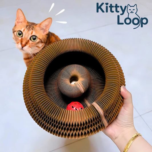 Kitty Loop™