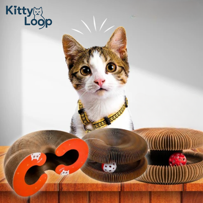 Kitty Loop™
